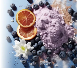 ProvaDent Ingredients