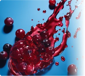 ProvaDent Ingredients