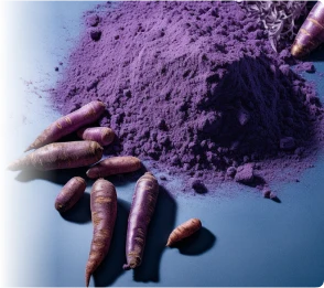 ProvaDent Ingredients